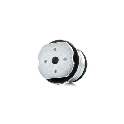 Kuva FAG 829 0489 10 Taka akselin Puslat FIAT: Coupe, Brava Hatchback