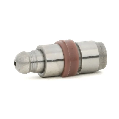 Kuva FAI AutoParts BFS148S Hydraulinen Venttiilinnostin Poistopuoli, Imupuoli AUDI: A4 B6 Sedan, B8 Allroad, Avant, VOLKSWAGEN: Golf 6