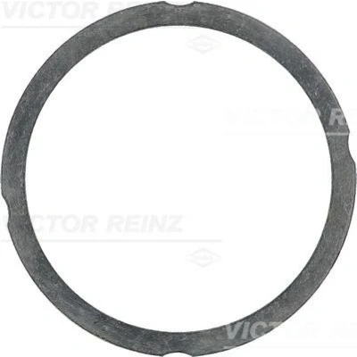 Kuva REINZ 61 25475 60 Kannentiiviste 1,3 102,6