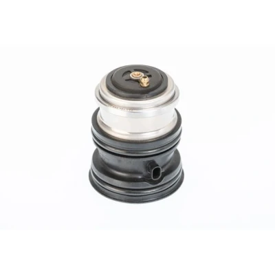 Kuva WAHLER 410448.107D Termostaatti 107