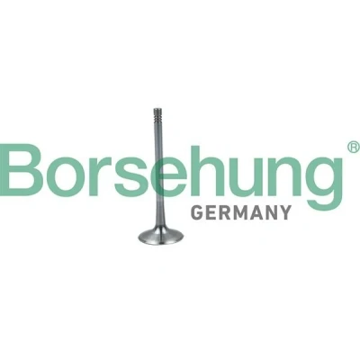 Kuva Borsehung B19026 Imuventtiili VOLKSWAGEN: Transporter 5, Multivan 5 (7HM, Golf AUDI: A4 B7 Sedan, B8 A3 Hatchback