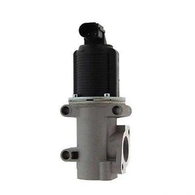 Kuva MAGNETI MARELLI 571822112006 EGR Venttiili FIAT: Doblo I Cargo