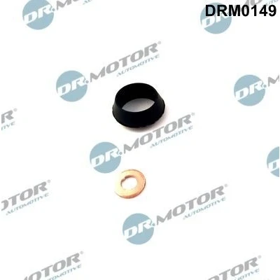 Kuva DR.MOTOR AUTOMOTIVE DRM0149 Tiivistesarja, Ruiskutussuutin