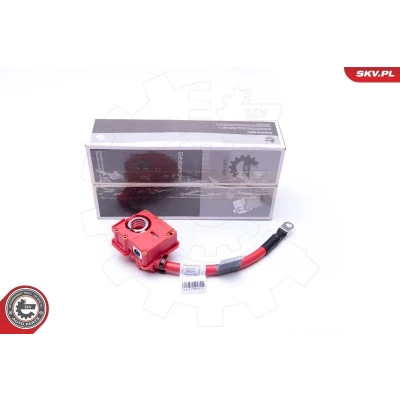 Kuva ESEN SKV 96SKV309 Akkukaapeli