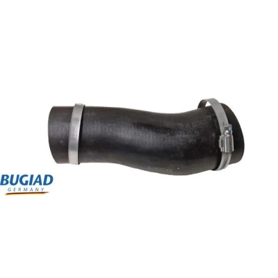 Kuva BUGIAD 82471 Ahdinletku Kuorilla