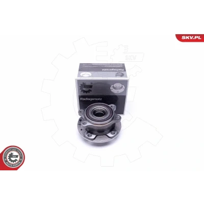 Kuva Pyöränlaakerisarja, Edessä Nissan, Renault OE 402024EA0A, 402024EA1A