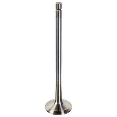 Kuva FEBI BILSTEIN 180210 Pakoventtiili 38mm