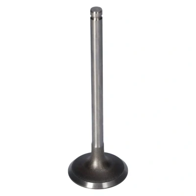 Kuva FEBI BILSTEIN 181650 Imuventtiili 36,8