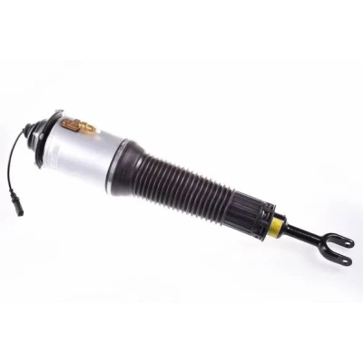 Kuva Ilmajousijalka, Etuakseli, oikea AUDI A8 D3, VW PHAETON OE 3D0 616 040 AC, AD, 4E0 AB