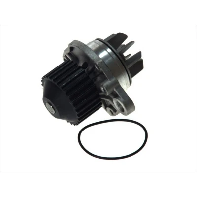 Kuva MAGNETI MARELLI 352316170921 Vesipumppu PEUGEOT: 406 Farmari