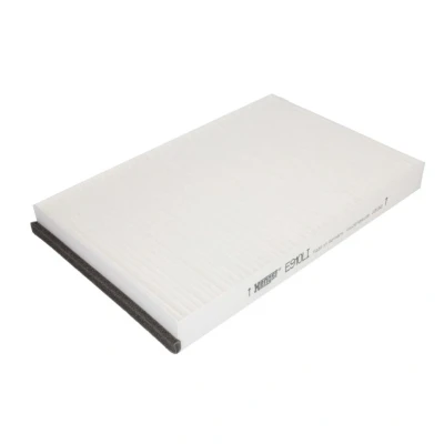 Kuva Raitisilmasuodatin HENGST FILTER E910LI
