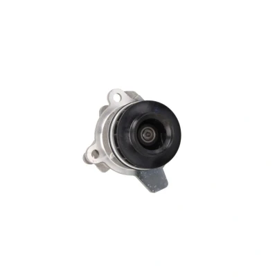 Kuva AISIN WPN 930 Vesipumppu NISSAN: NP300 Navara Pick up, Pathfinder 3