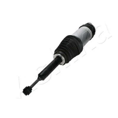 Kuva Ilmajousijalka, Takana TESLA MODEL X OE 102746100G