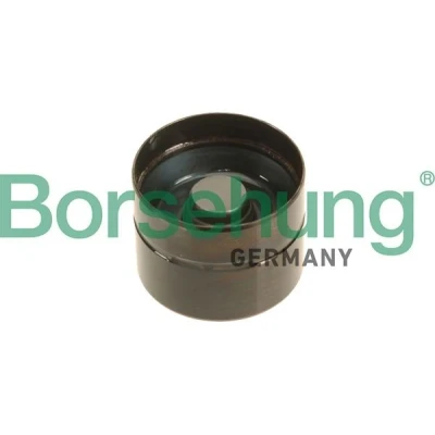 Kuva Borsehung B18838 Hydraulinen Venttiilinnostin Akselirunko AUDI: A4 B6 Sedan, B7 Avant, B5 VOLKSWAGEN: Passat Sedan