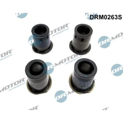 Kuva DR.MOTOR AUTOMOTIVE DRM0263S Tiivistesarja, Ruiskutussuutin