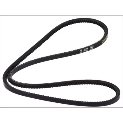 Kuva DT Spare Parts 6.31430 Kiilahihnasarja