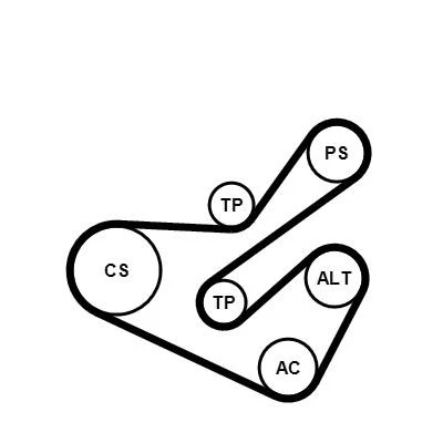 Kuva CONTITECH 6PK1740K1 Moniurahihnasarja PEUGEOT: 206 Hatchback, 406 Farmari, CITROËN: Xsara Picasso, C8