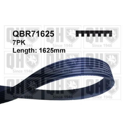 Kuva QUINTON HAZELL QBR71625 Moniurahihna 1625 7 BMW: 5 Sedan, Touring, X5