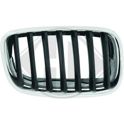 Kuva DIEDERICHS 1291142 Etusäleikkö Oikea kromi, hopea BMW: X5