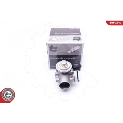 Kuva ESEN SKV 14SKV107 EGR Venttiili Pneumaattinen VOLKSWAGEN: LT 28 46 II Flatbed Kuorma auto / Alusta