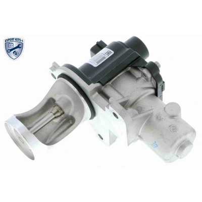 Kuva VEMO EXPERT KITS + V10 63 0004 EGR Venttiili Sähköinen Ohjausventtiili Ilman tiivisteitä VOLKSWAGEN: Passat B6 Variant, Multivan 5 (7HM