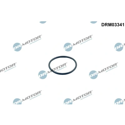 Kuva DR.MOTOR AUTOMOTIVE DRM03341 Termostaatin Tiiviste BMW: 3 Touring, Coupe, 1 Hatchback