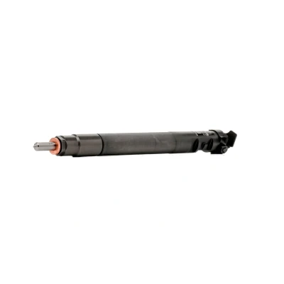 Kuva DELPHI R00101DP Suuttimen Pidike FORD: S Max Mk1, Galaxy Mk2 MPV