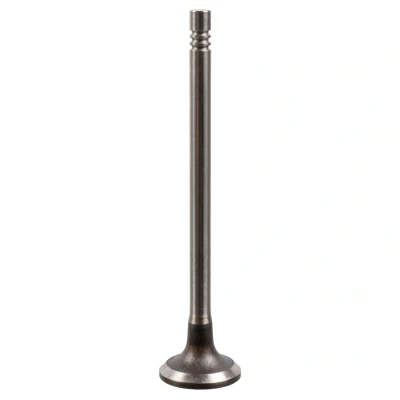 Kuva FEBI BILSTEIN 175555 Imuventtiili 24