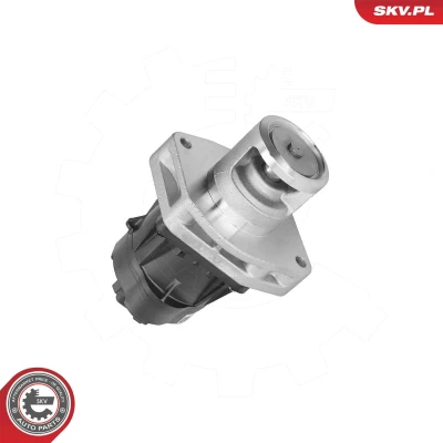 Kuva EGR venttiili ESEN SKV 14SKV302