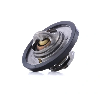 Kuva DAYCO DT1062V Termostaatti 89 53,5 RENAULT: CLIO 2, Kangoo I, LAGUNA 2 Grandtour, VOLVO: V40 Farmari, S40 CITROËN: Xsara Hatchback, Coupe