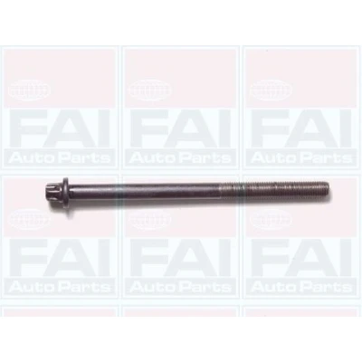 Kuva FAI AutoParts B1050 Kannen Pultit Torx, ulko 10 OPEL: Astra G Caravan, Kadett E CC, Vectra B Farmari