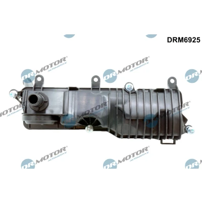 Kuva DR.MOTOR AUTOMOTIVE DRM6925 Öljynerotin, Kampikammiotuuletus