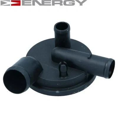 Kuva ENERGY SE00065 Huohotin Ilmanpoistoventtiili Sylinterikansi AUDI: A6 C5 Avant, Sedan, A4 B5 VOLKSWAGEN: GOLF 3, Passat Variant
