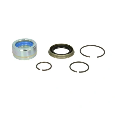 Kuva Korjaussarja, kippaussylinteri DT Spare Parts 1.32317