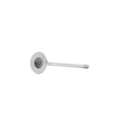 Kuva Pakoventtiili CHEVROLET, OPEL, SUZUKI, VAUXHALL OE 55564737, 55570171, 641090
