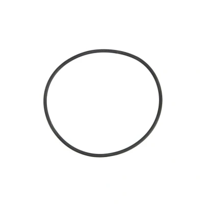 Kuva Tiiviste, laippa keskipakopuhdistin DT Spare Parts 1.10170