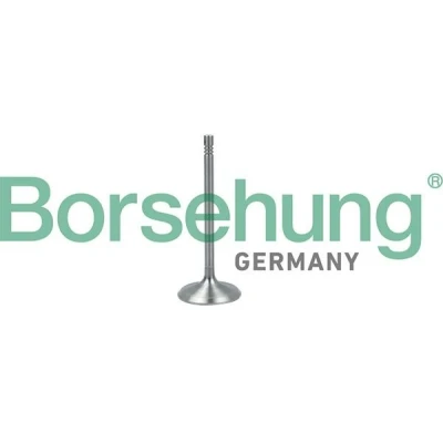 Kuva Borsehung B19017 Imuventtiili AUDI: A4 B7 Sedan, B5 A3 Hatchback, VOLKSWAGEN: Golf 5, Jetta 3, Touran I, SKODA: Octavia II Hatchback