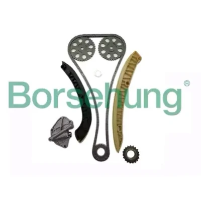 Kuva Borsehung B16295 Jakoketjusarja nokka akselille Yksinkertainen, Ketju koteloitu SEAT: Ibiza 4 ST, SKODA: Fabia 2, I Hatchback, 1 Combi