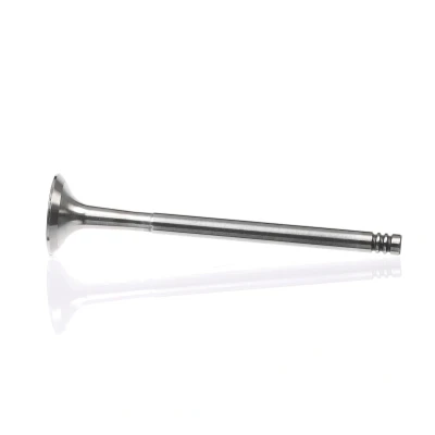 Kuva Pakoventtiili, Poistopuoli ALFA ROMEO GIULIETTA, MITO, FIAT BRAVO II, DOBLO Buss, Cargo, Flak/chassi, GRANDE PUNTO, LINEA, PUNTO