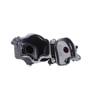 Kuva VAICO V20 0850 Huohotin Ilmanpoistoventtiili Sylinterikansi Tiivisteillä Ruuveilla, Ilman suodatinta EXPERT KITS + BMW: 5 Touring, Sedan, 3 Touring