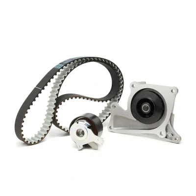 Kuva VAICO V46 50028 Vesipumppu + Jakohihnasarja 119 RENAULT: MEGANE 3 Grandtour, 3, Kangoo II / Grand Kangoo, DACIA: Duster SUV, SANDERO 2