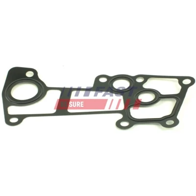 Kuva FAST FT49920 Termostaatin Tiiviste FORD: Transit Mk6 Bussi