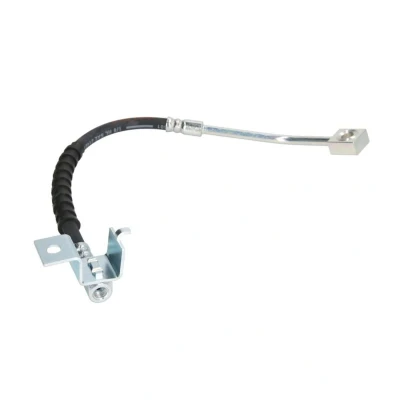 Kuva DELPHI LH6579 Jarruletku 310 Banjo CHRYSLER: PT Cruiser Farmari, Cabriolet