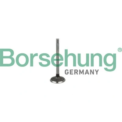 Kuva Borsehung B19029 Imuventtiili VOLKSWAGEN: Transporter 5, Multivan 5 (7HM, Bus, AUDI: A4 B5 Sedan, B6 A6 C5 Sedan