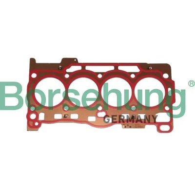 Kuva Borsehung B19157 Kannentiiviste VOLKSWAGEN: Sharan II