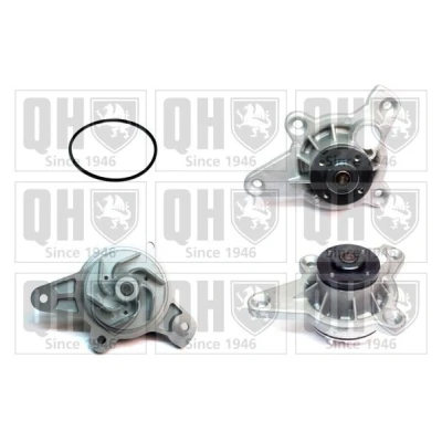 Kuva QUINTON HAZELL QCP3769 Vesipumppu VOLKSWAGEN: Touareg I, Passat B5 GP Sedan, AUDI: A8 D3