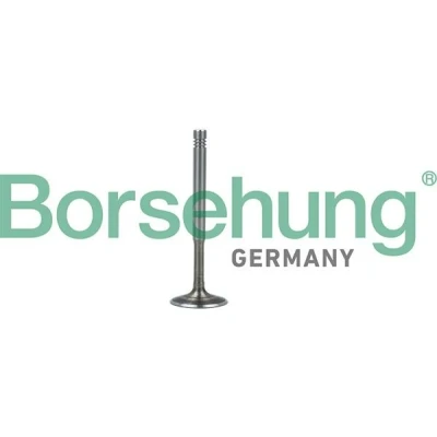 Kuva Borsehung B19010 Pakoventtiili AUDI: A4 B6 Sedan, B7 Avant, VOLKSWAGEN: Golf 4 Variant, Bora