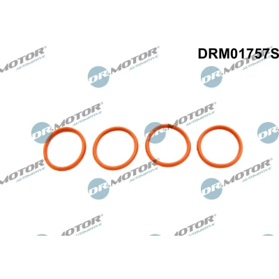 Kuva DR.MOTOR AUTOMOTIVE DRM01757S Tiivistesarja, Imusarja PEUGEOT: 207 Hatchback, 206 307 SW