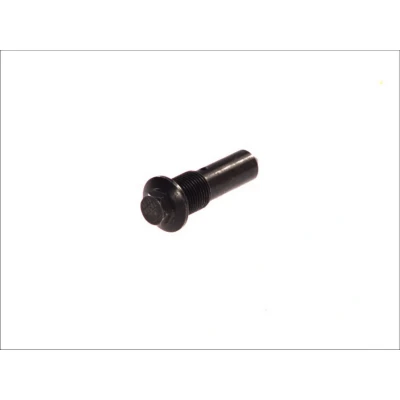 Kuva DT Spare Parts 1.14243 Ruuvi