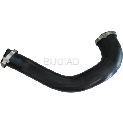 Kuva BUGIAD 86630 Ahdinletku